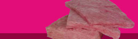 BATTS-IN-BAGS (BIB)®